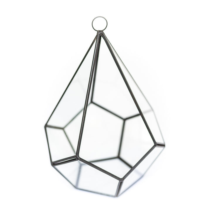 Wholesale - DIY Glass Diamond Terrarium with Kit and Two Tillandsia Air Plants
