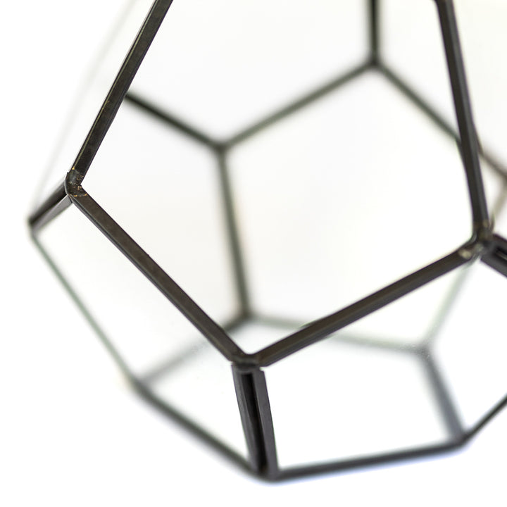 close up of multifaceted glass pentagon shaped terrarium with black metal accents