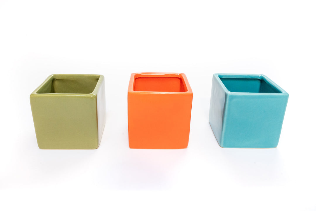 Set of 3 Ceramic Cube Containers with Custom Tillandsia Air Plants / Avocado Green + Sky Blue + Naranja Orange