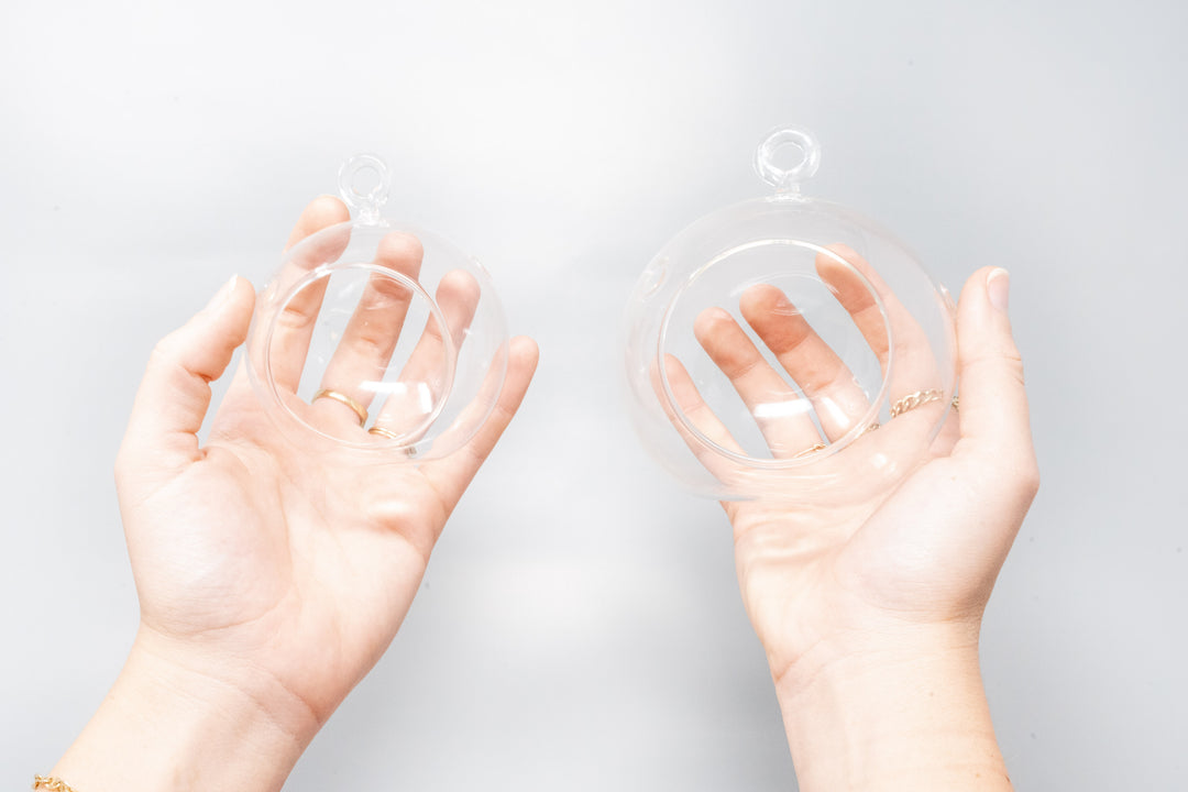 hands holding a mini glass globe terrarium and regular glass globe terrarium to compare size