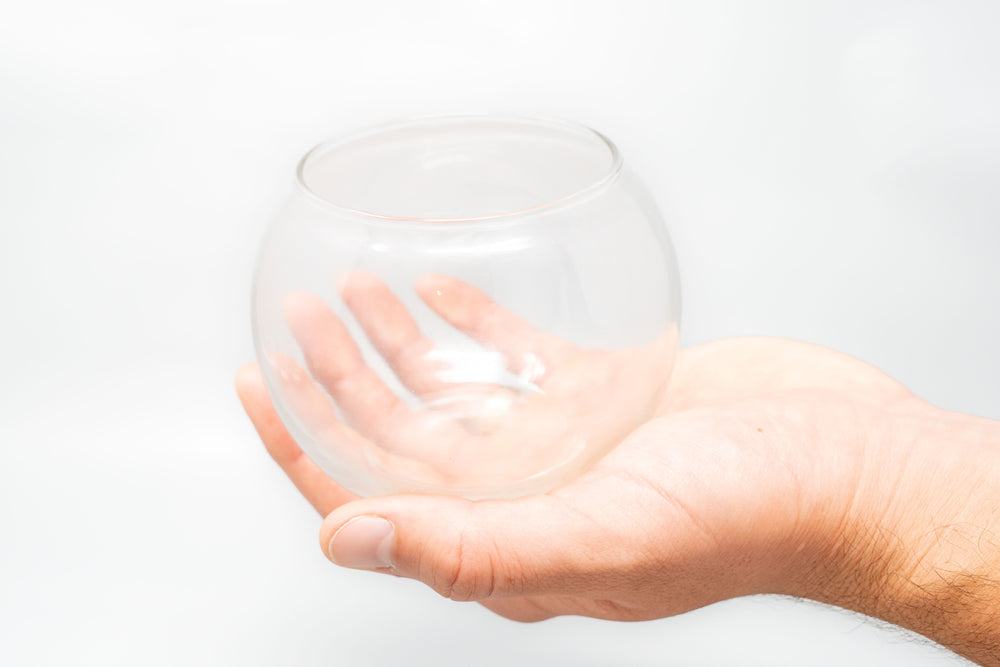 hand holding glass bubble bowl terrarium