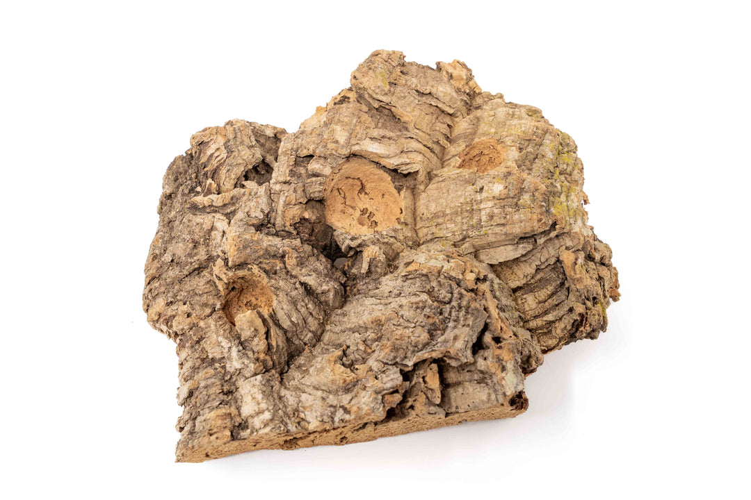 medium cork bark