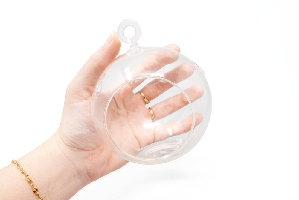hand holding a round bottom glass globe terrarium