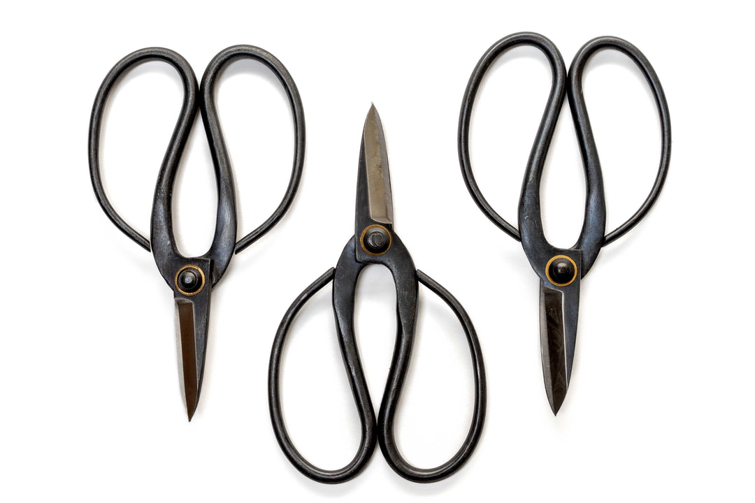 Bonsai-Style Pruning Scissors for Tillandsia Air Plants