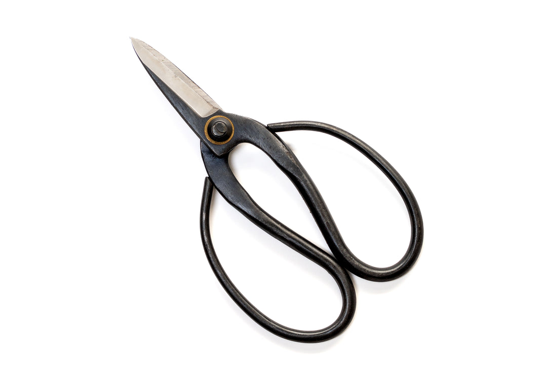 Wholesale - Bonsai-Style Pruning Scissors for Tillandsia Air Plants