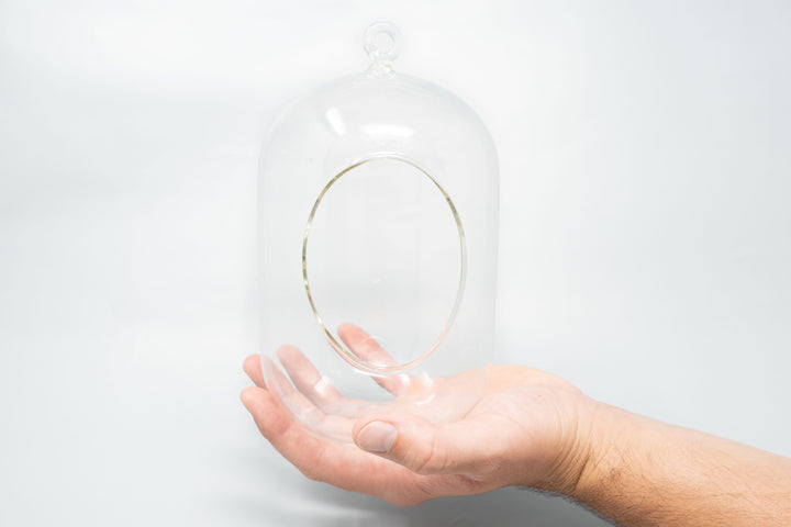 hand holding glass capsule terrarium