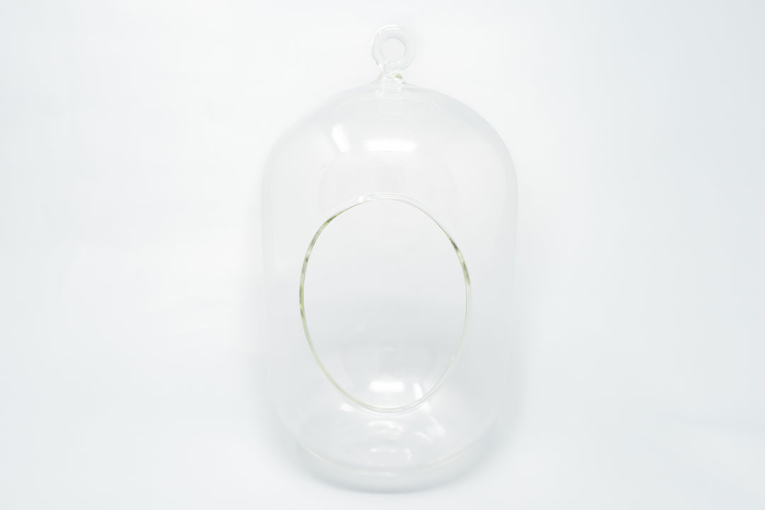 glass capsule terrarium