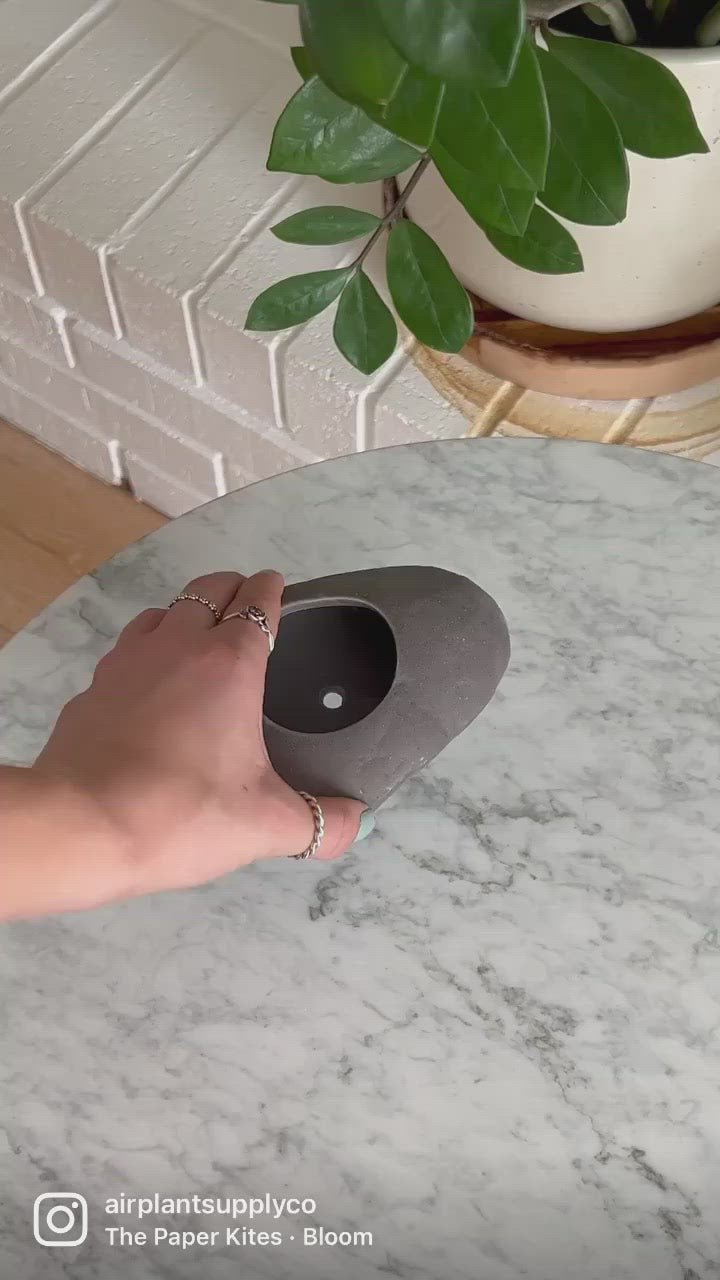 grey ceramic tillandsia air plant holder video montage
