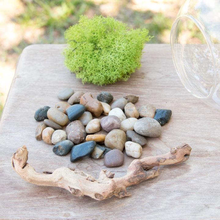 stones, wood accent and reindeer moss