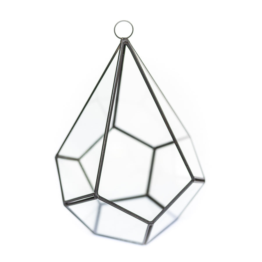 multifaceted glass diamond terrarium with black metal accents