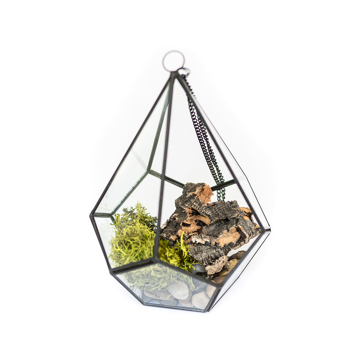 multifaceted glass diamond terrarium with black metal accents containing river rocks, moss and cork bark