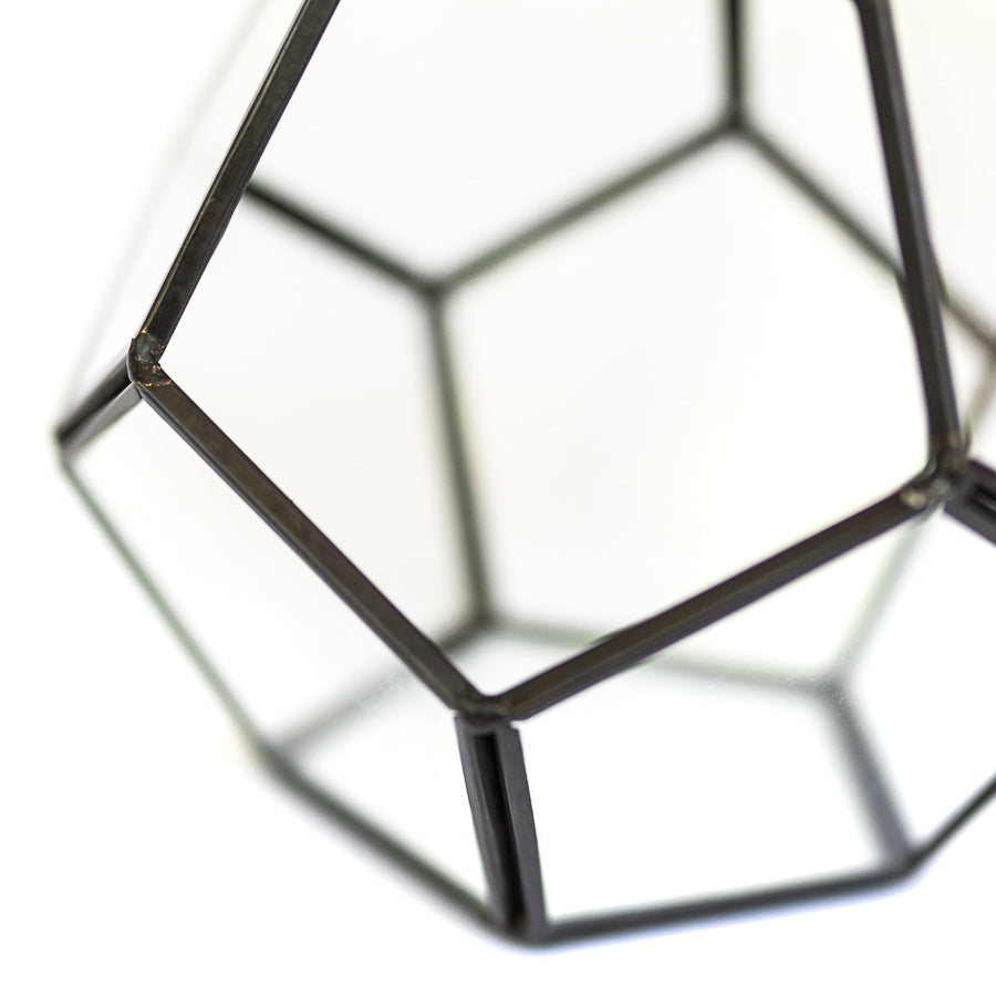 close up of multifaceted glass diamond terrarium with black metal accents