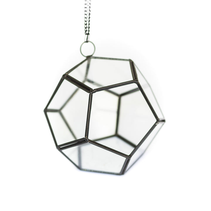 multifaceted glass pentagon shaped terrarium with black metal accents