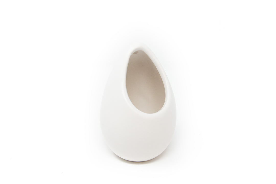 Small Ivory Ceramic Vase with Tillandsia Juncea Air Plant