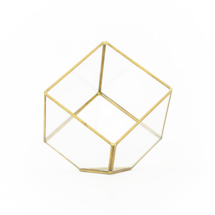 Wholesale - Heptahedron Geometric Glass Terrarium - Gold Metallic Finish - Trendy Holder For Air Plants