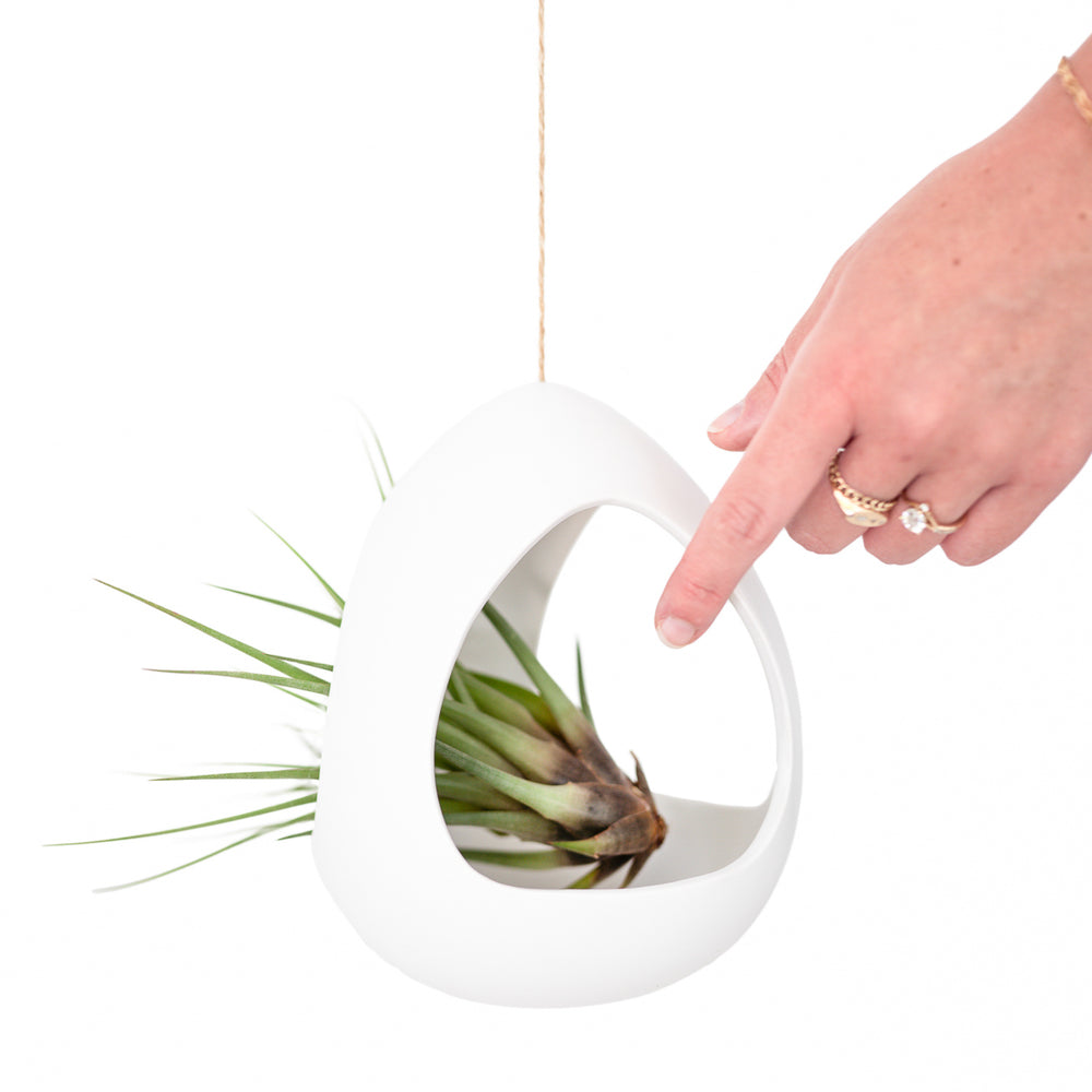 Hand pointing to large white ceramic pod hanging by hemp string with a tillandsia melanocrater air plant inside