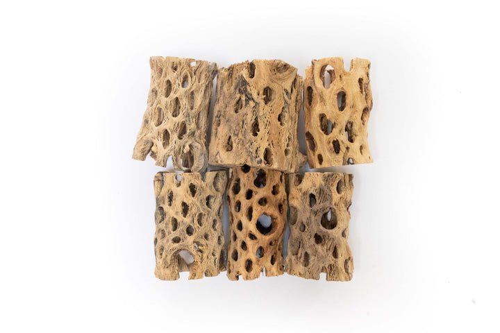 six 3 inch cholla wood containers, three thick and three thin.