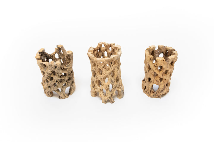 three 3 inch cholla wood containers