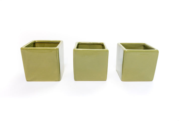 Wholesale - Avocado Green Ceramic Cube Container with Custom Tillandsia Air Plants