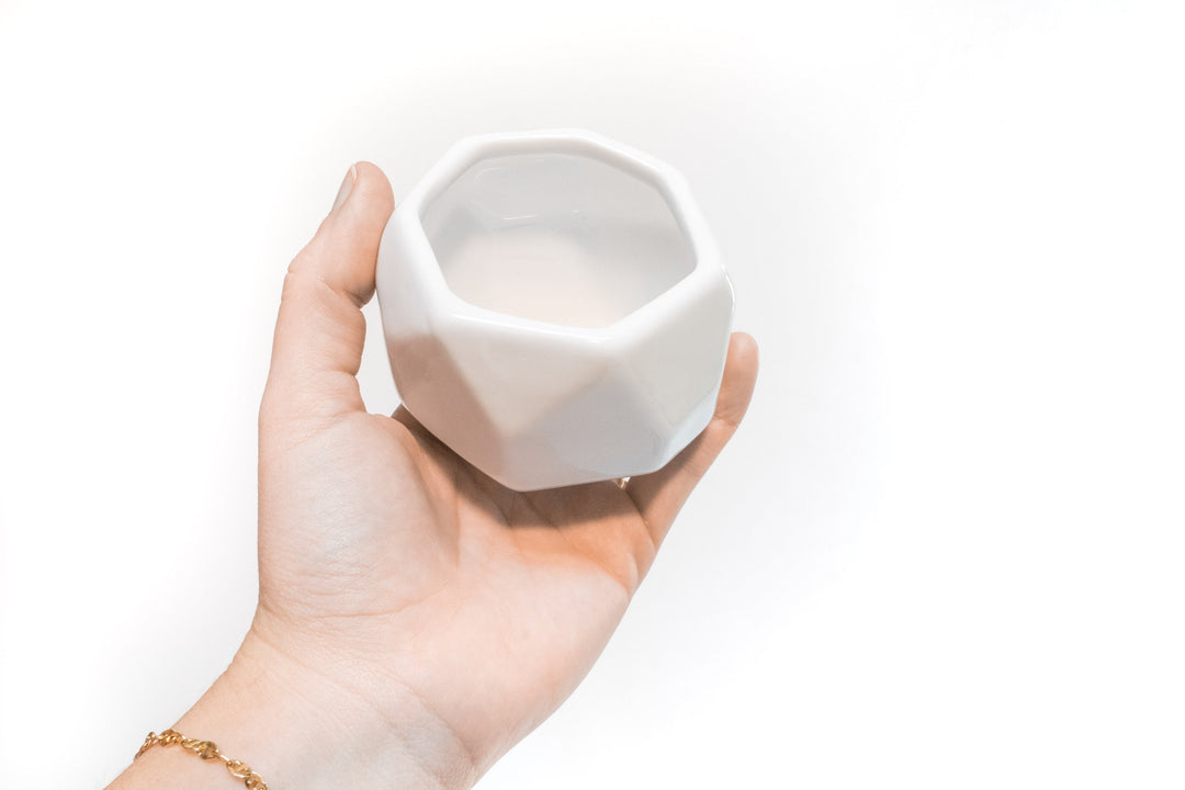 Trio of White Geometric Ceramic Containers with Custom Tillandsia Air Plants