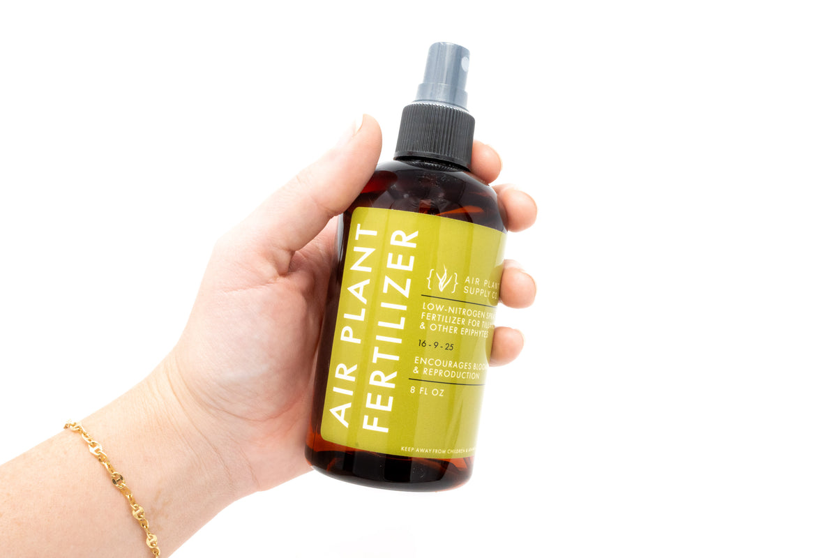 ReadyToUse Tillandsia Air Plants Fertilizer Air Plant Supply Co.