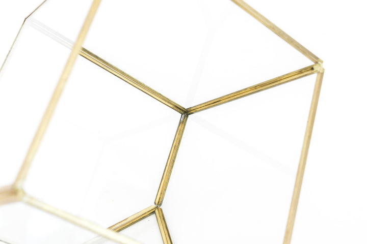 Heptahedron Geometric Glass Terrarium
