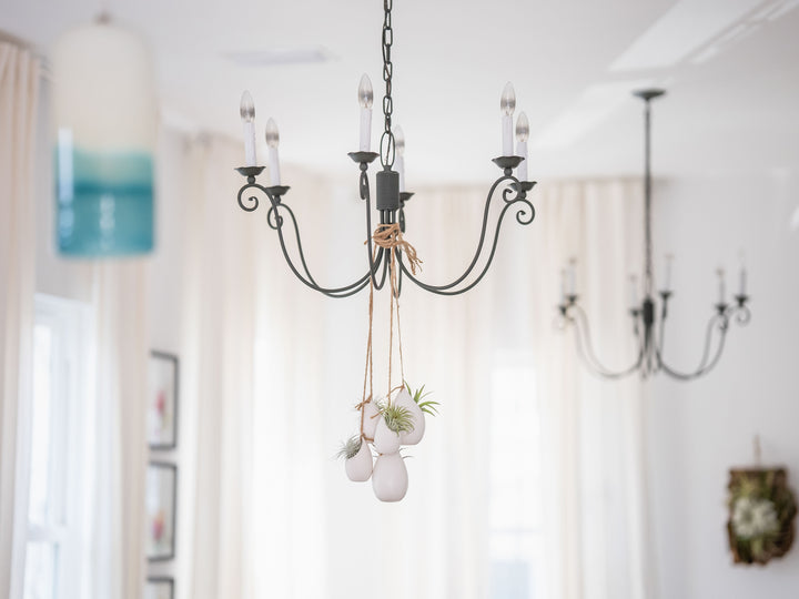 five large ivory vases with asst tillandsia air plants hanging from a chandelier by hemp string