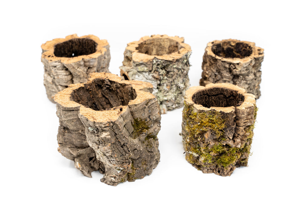 5 Natural Cork Bark Planters